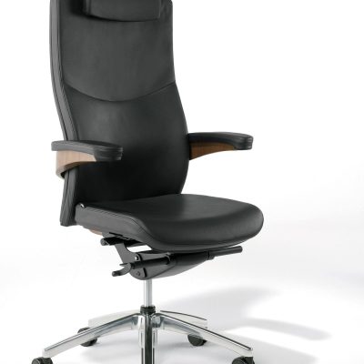 Fauteuil en Cuir Toro