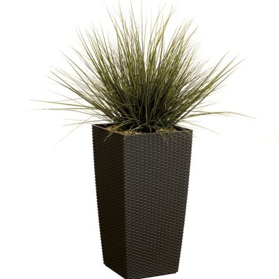 Plante Artificielle Danube