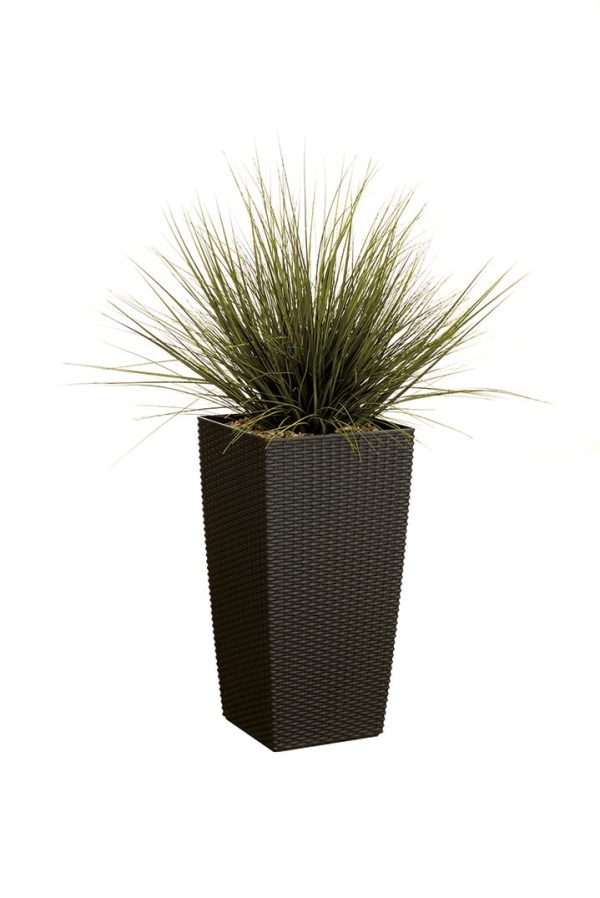 Plante Artificielle Danube