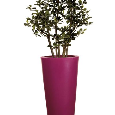Plante Artificielle Mangrove