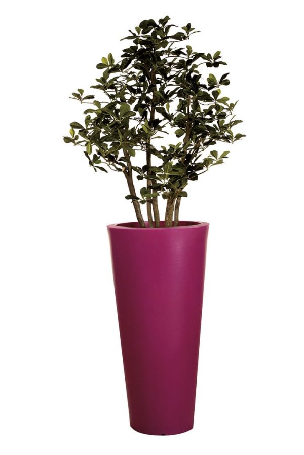 Plante Artificielle Mangrove