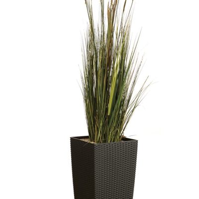 Plante Artificielle Nil