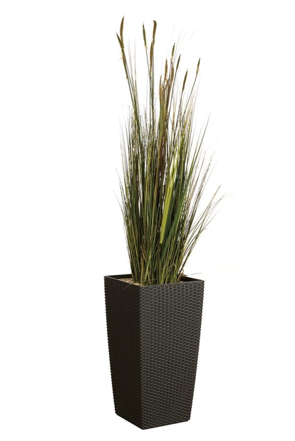 Plante Artificielle Nil