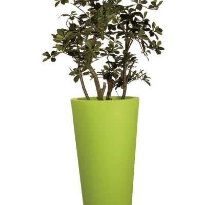 Plante Artificielle Oriental