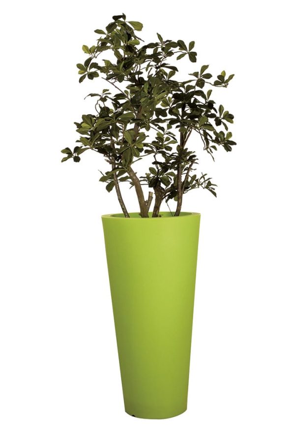 Plante Artificielle Oriental