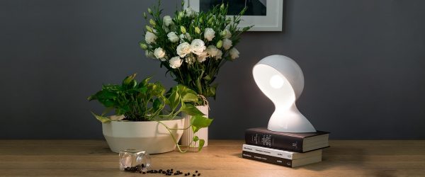 Petite lampe de table led blanche Dalu