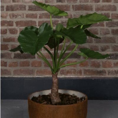 alocasia artificiel