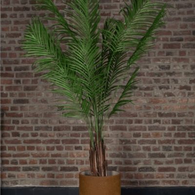 areca artificiel