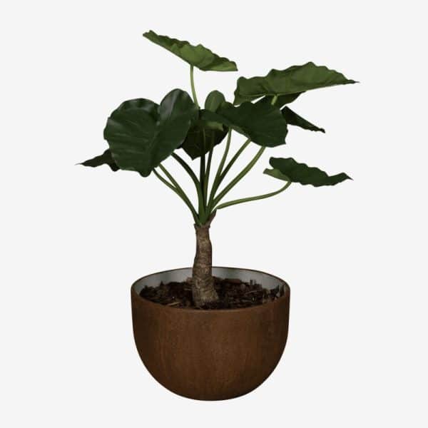 alocasia artificiel