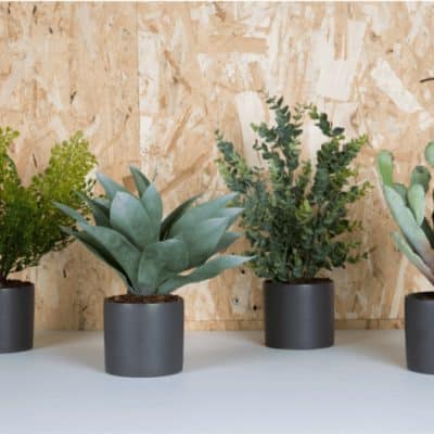 lot de 4 succulentes artificielles pot cylindre (2 coloris)