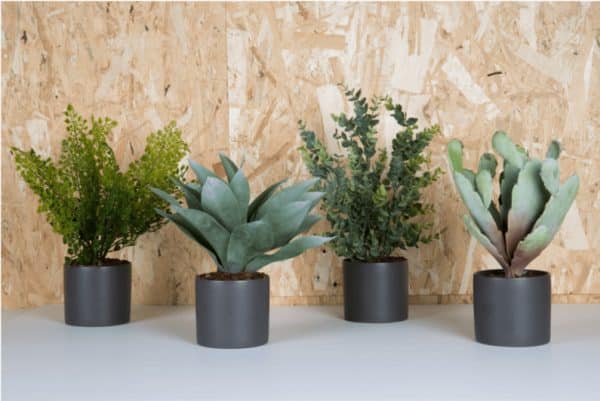 lot de 4 succulentes artificielles pot cylindre (2 coloris)