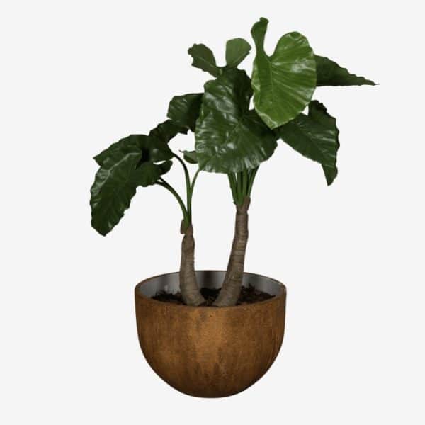 alocasia artificiel 120cm